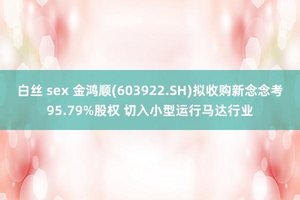 白丝 sex 金鸿顺(603922.SH)拟收购新念念考95.79%股权 切入小型运行马达行业