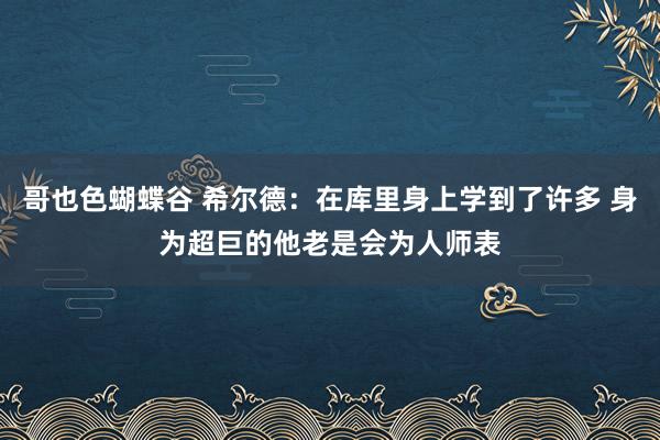 哥也色蝴蝶谷 希尔德：在库里身上学到了许多 身为超巨的他老是会为人师表