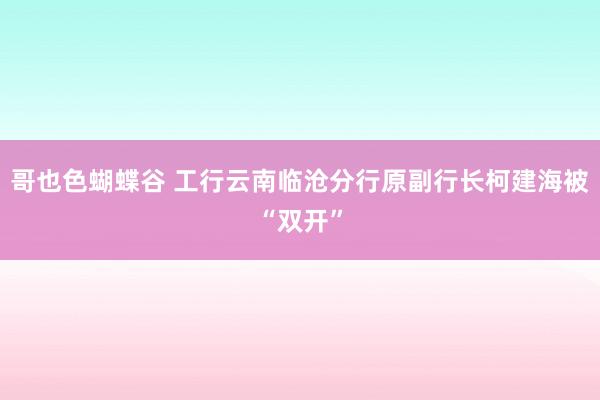 哥也色蝴蝶谷 工行云南临沧分行原副行长柯建海被“双开”