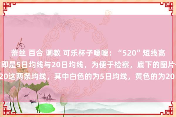 蕾丝 百合 调教 可乐杯子嘎嘎：“520”短线高得手率买入法520所指的即是5日均线与20日均线，为便于检察，底下的图片仅泄漏5、20这两条均线，其中白色的为5日均线，黄色的为20日均线。具体的操作设施如下：第一...