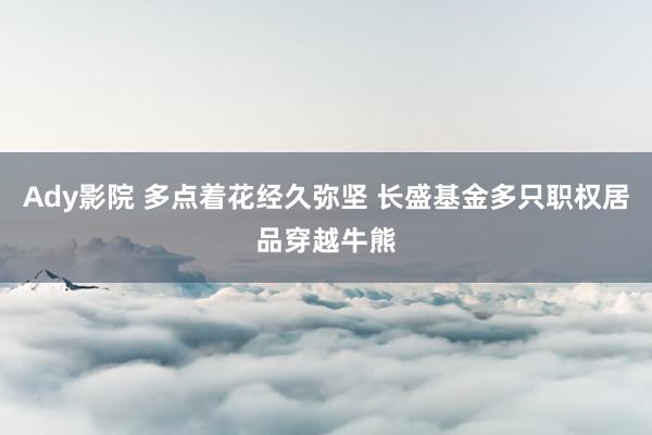 Ady影院 多点着花经久弥坚 长盛基金多只职权居品穿越牛熊