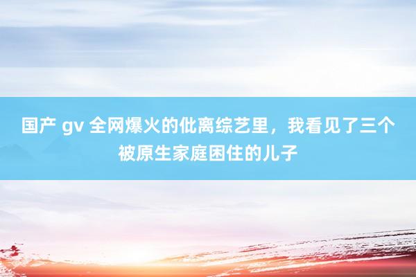 国产 gv 全网爆火的仳离综艺里，我看见了三个被原生家庭困住的儿子