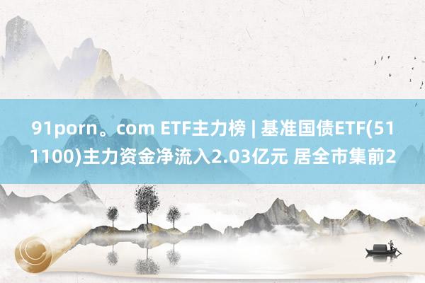 91porn。com ETF主力榜 | 基准国债ETF(511100)主力资金净流入2.03亿元 居全市集前2