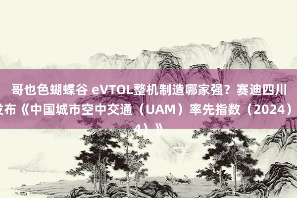 哥也色蝴蝶谷 eVTOL整机制造哪家强？赛迪四川发布《中国城市空中交通（UAM）率先指数（2024）》