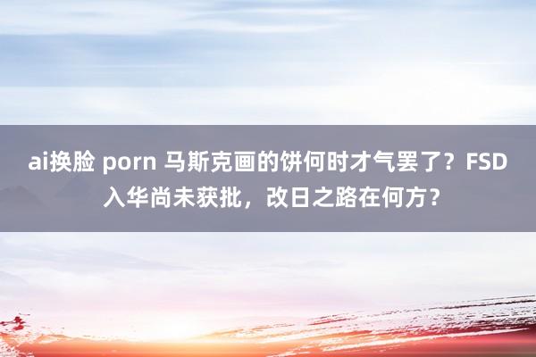 ai换脸 porn 马斯克画的饼何时才气罢了？FSD 入华尚未获批，改日之路在何方？