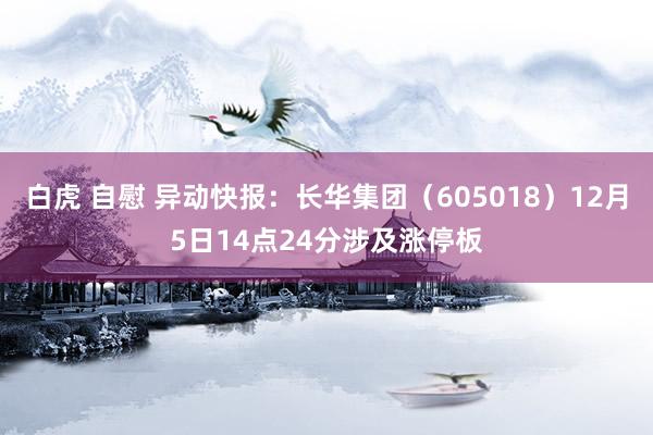 白虎 自慰 异动快报：长华集团（605018）12月5日14点24分涉及涨停板