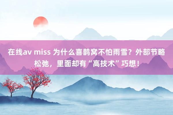 在线av miss 为什么喜鹊窝不怕雨雪？外部节略松弛，里面却有“高技术”巧想！