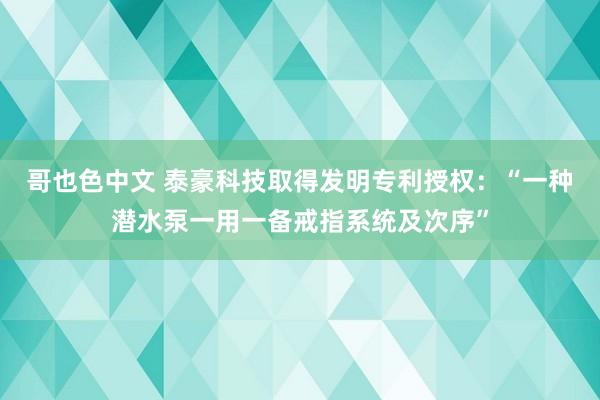 哥也色中文 泰豪科技取得发明专利授权：“一种潜水泵一用一备戒指系统及次序”