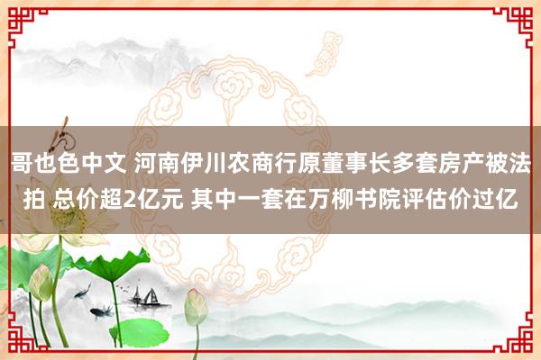 哥也色中文 河南伊川农商行原董事长多套房产被法拍 总价超2亿元 其中一套在万柳书院评估价过亿