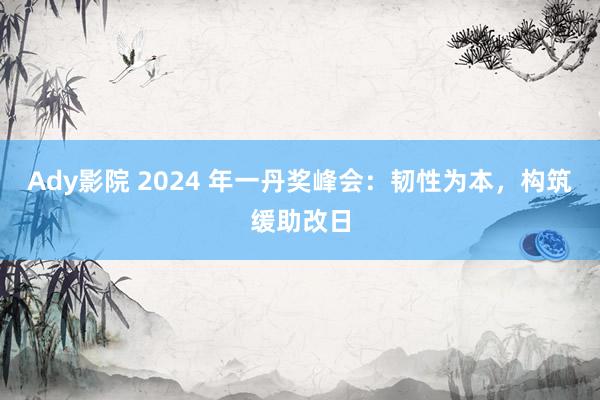 Ady影院 2024 年一丹奖峰会：韧性为本，构筑缓助改日