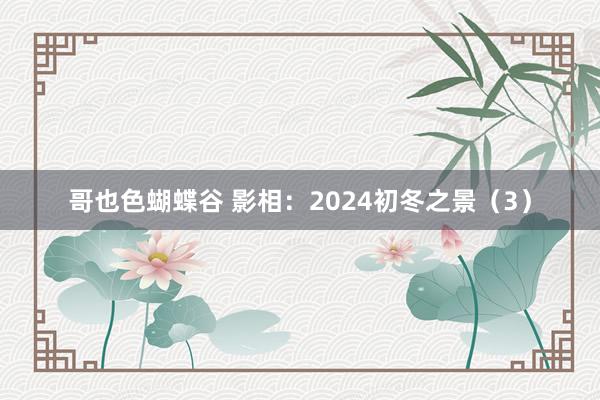 哥也色蝴蝶谷 影相：2024初冬之景（3）