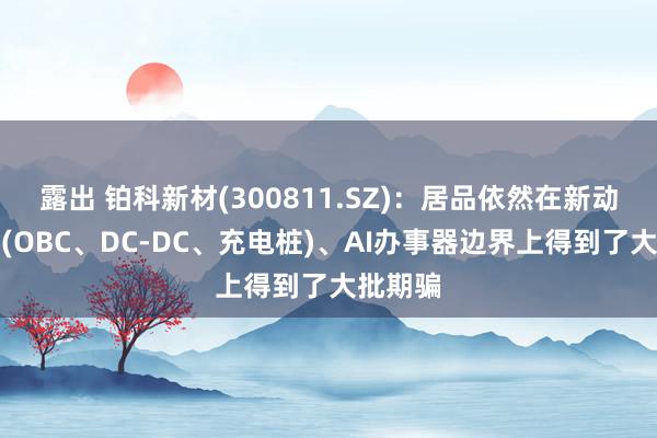 露出 铂科新材(300811.SZ)：居品依然在新动力汽车(OBC、DC-DC、充电桩)、AI办事器边界上得到了大批期骗