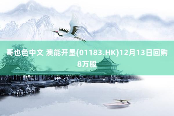 哥也色中文 澳能开垦(01183.HK)12月13日回购8万股