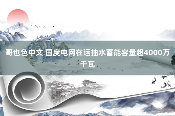 哥也色中文 国度电网在运抽水蓄能容量超4000万千瓦