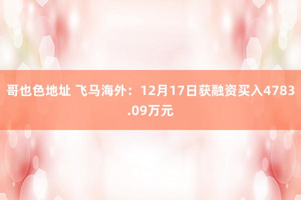 哥也色地址 飞马海外：12月17日获融资买入4783.09万元