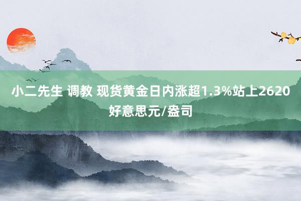 小二先生 调教 现货黄金日内涨超1.3%站上2620好意思元/盎司