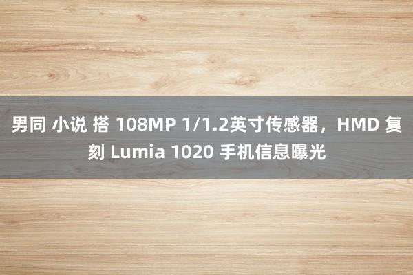 男同 小说 搭 108MP 1/1.2英寸传感器，HMD 复刻 Lumia 1020 手机信息曝光