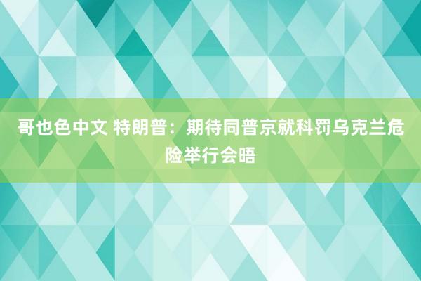 哥也色中文 特朗普：期待同普京就科罚乌克兰危险举行会晤