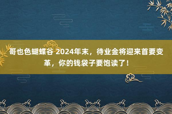 哥也色蝴蝶谷 2024年末，待业金将迎来首要变革，你的钱袋子要饱读了！