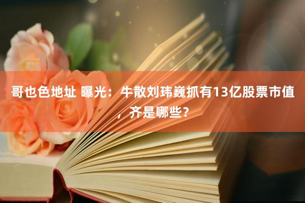 哥也色地址 曝光：牛散刘玮巍抓有13亿股票市值，齐是哪些？