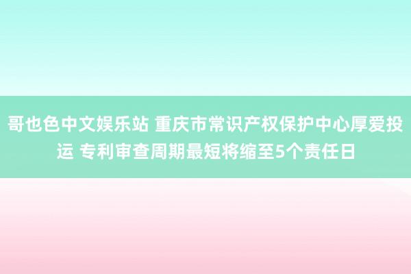 哥也色中文娱乐站 重庆市常识产权保护中心厚爱投运 专利审查周期最短将缩至5个责任日