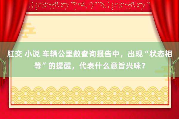 肛交 小说 车辆公里数查询报告中，出现“状态相等”的提醒，代表什么意旨兴味？