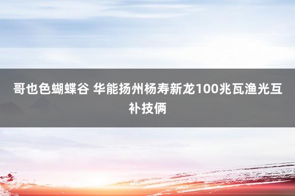 哥也色蝴蝶谷 华能扬州杨寿新龙100兆瓦渔光互补技俩