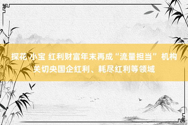 探花 小宝 红利财富年末再成“流量担当” 机构关切央国企红利、耗尽红利等领域