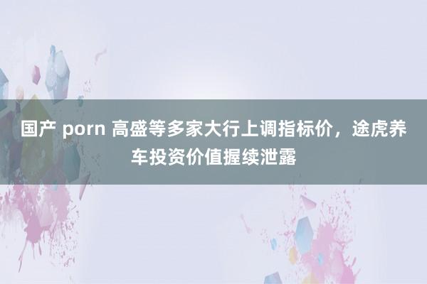 国产 porn 高盛等多家大行上调指标价，途虎养车投资价值握续泄露