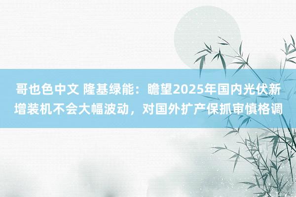 哥也色中文 隆基绿能：瞻望2025年国内光伏新增装机不会大幅波动，对国外扩产保抓审慎格调