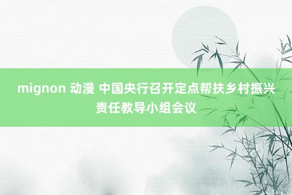 mignon 动漫 中国央行召开定点帮扶乡村振兴责任教导小组会议