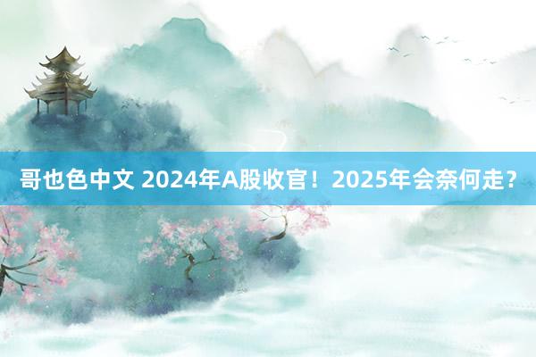 哥也色中文 2024年A股收官！2025年会奈何走？