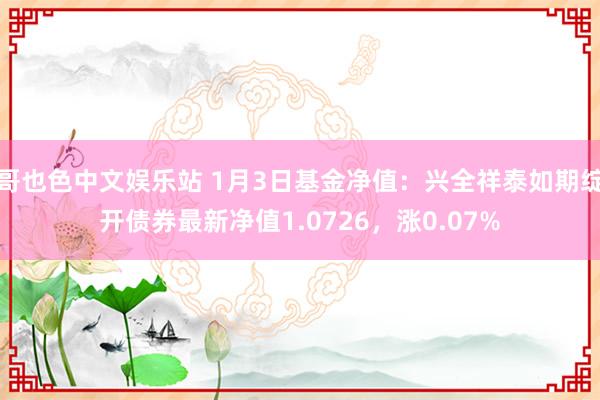 哥也色中文娱乐站 1月3日基金净值：兴全祥泰如期绽开债券最新净值1.0726，涨0.07%