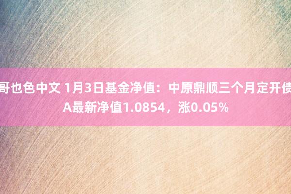 哥也色中文 1月3日基金净值：中原鼎顺三个月定开债A最新净值1.0854，涨0.05%