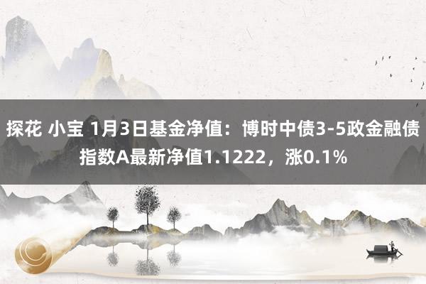 探花 小宝 1月3日基金净值：博时中债3-5政金融债指数A最新净值1.1222，涨0.1%