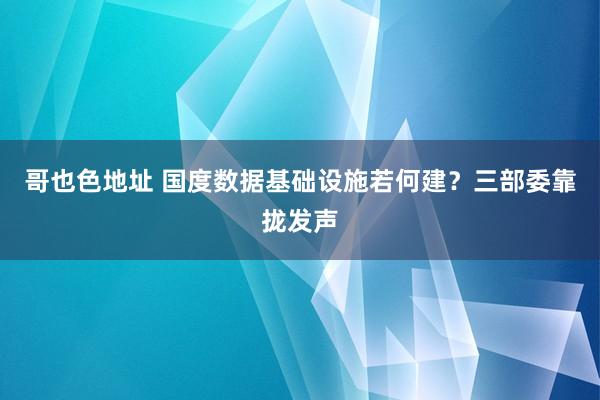 哥也色地址 国度数据基础设施若何建？三部委靠拢发声