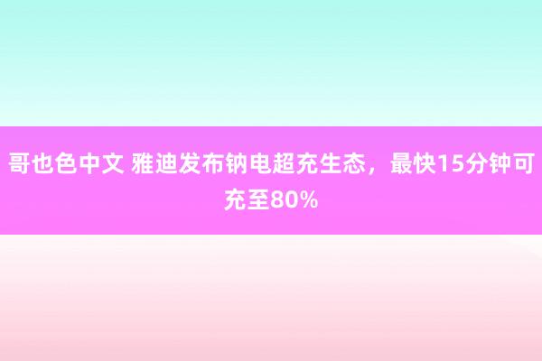 哥也色中文 雅迪发布钠电超充生态，最快15分钟可充至80%