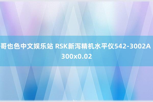 哥也色中文娱乐站 RSK新泻精机水平仪542-3002A 300x0.02