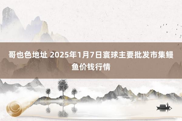 哥也色地址 2025年1月7日寰球主要批发市集鳗鱼价钱行情