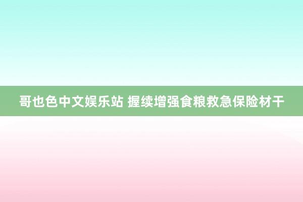 哥也色中文娱乐站 握续增强食粮救急保险材干