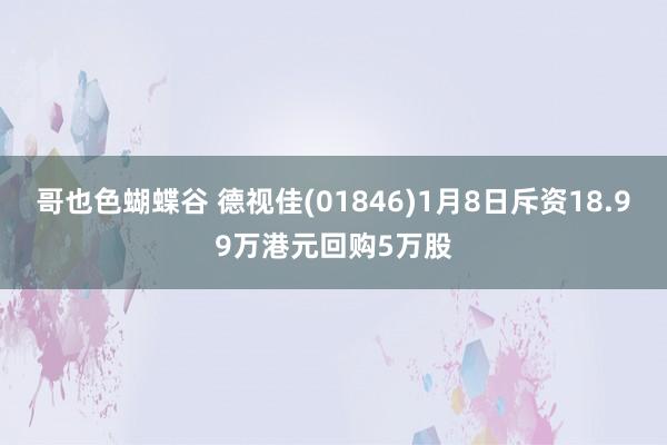 哥也色蝴蝶谷 德视佳(01846)1月8日斥资18.99万港元回购5万股