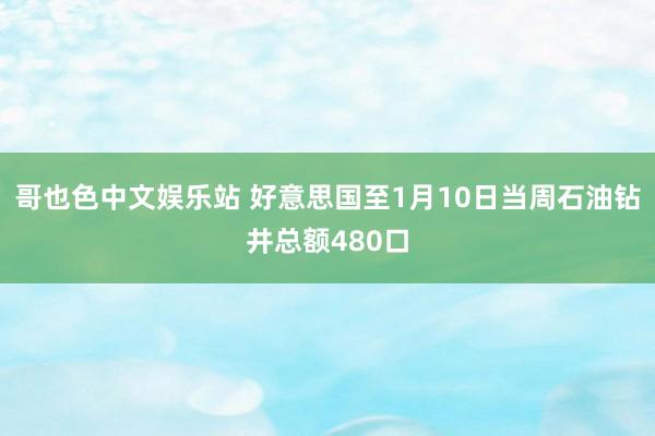 哥也色中文娱乐站 好意思国至1月10日当周石油钻井总额480口