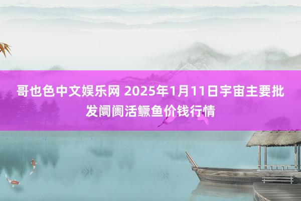 哥也色中文娱乐网 2025年1月11日宇宙主要批发阛阓活鳜鱼价钱行情