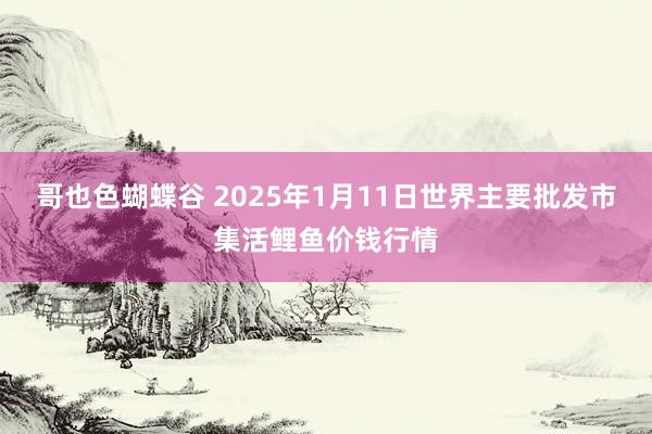 哥也色蝴蝶谷 2025年1月11日世界主要批发市集活鲤鱼价钱行情