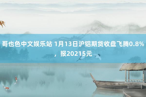 哥也色中文娱乐站 1月13日沪铝期货收盘飞腾0.8%，报20215元