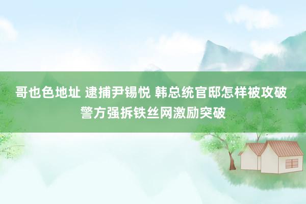 哥也色地址 逮捕尹锡悦 韩总统官邸怎样被攻破 警方强拆铁丝网激励突破