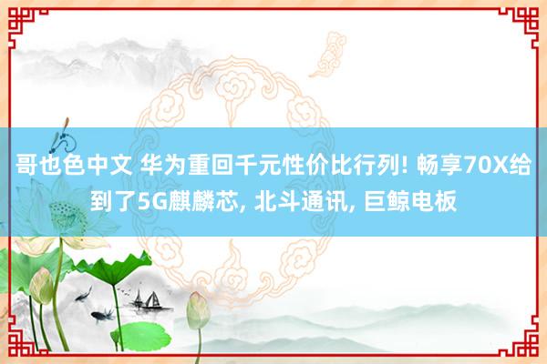 哥也色中文 华为重回千元性价比行列! 畅享70X给到了5G麒麟芯， 北斗通讯， 巨鲸电板