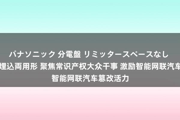 パナソニック 分電盤 リミッタースペースなし 露出・半埋込両用形 聚焦常识产权大众干事 激励智能网联汽车篡改活力